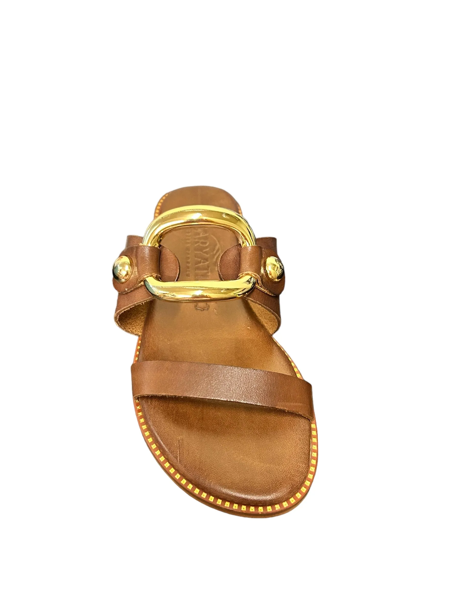 Caryatis 6437 - Brown